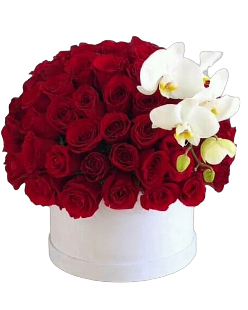 Ramo de rosas rojas con orquídeas para aniversario en Guayaquil - Floreria DIFIORI Guayaquil
